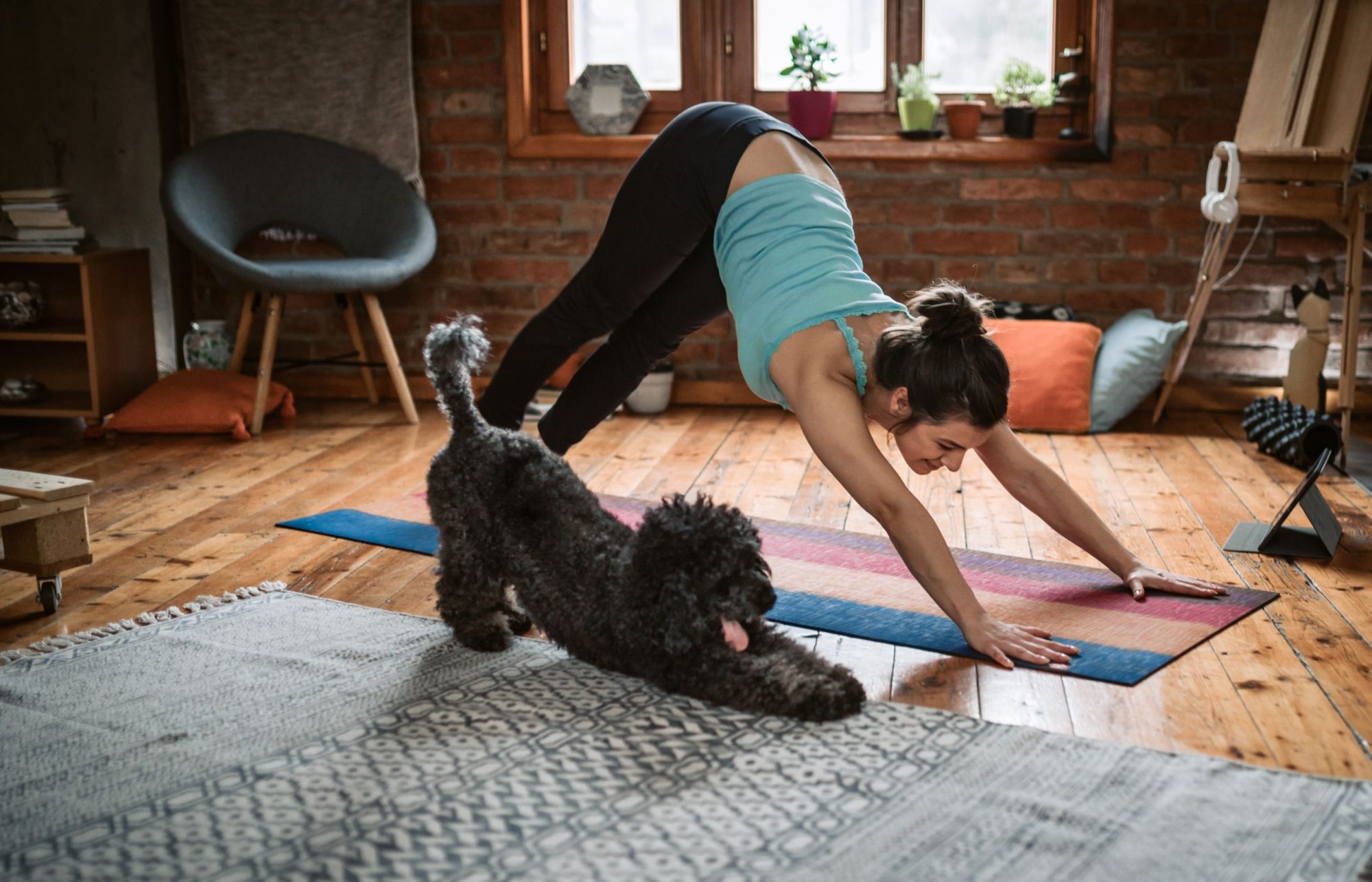 dog and owner doing yoga