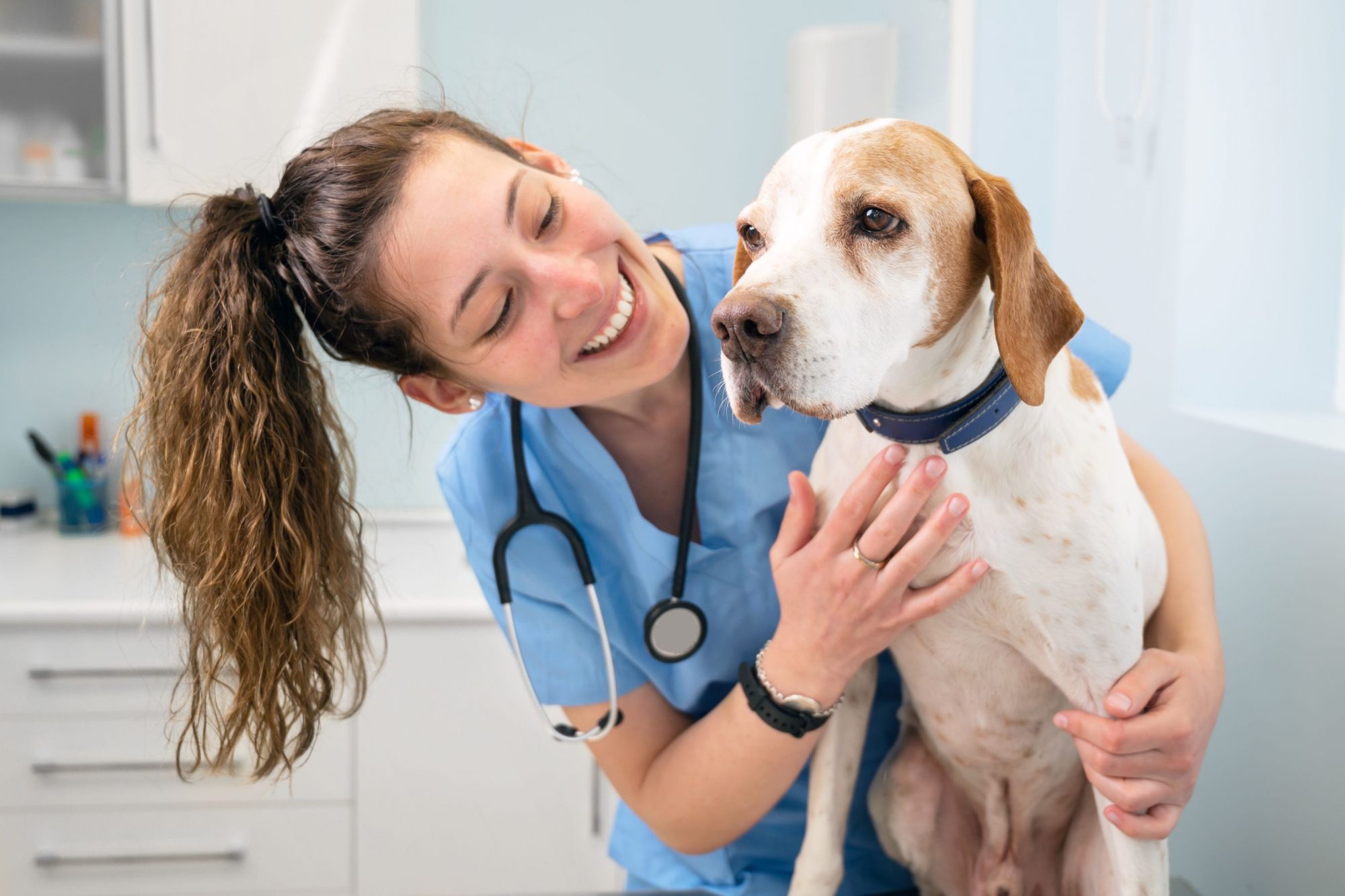 Vet with dog.