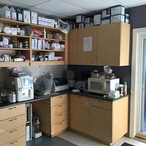 In-House Laboratory